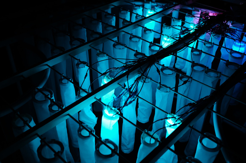 Dossier de presse | 5720-01 - Communiqué de presse | Wisteria: Emotive Intelligent Architecture as an Embodiment of Human Emotion and Cognition - Morphogenesis Lab - Évènement + Exposition -  Top view showing the electrical system that is driven by the Arduino microcontrollers which change the lighting color and length of the shrouds according to real-time detected emotions.    - Crédit photo : Mona Ghandi, Nicole Liu, Mohamed Ismail