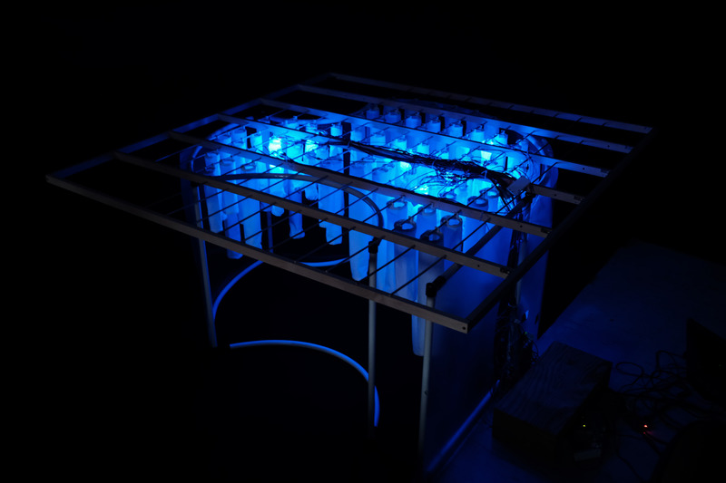 Dossier de presse | 5720-01 - Communiqué de presse | Wisteria: Emotive Intelligent Architecture as an Embodiment of Human Emotion and Cognition - Morphogenesis Lab - Évènement + Exposition - 1/4 sale installation prototype that has emotion-based communications with users through shape, color, and light changes.<br style=""> - Crédit photo : Mona Ghandi, Nicole Liu, Mohamed Ismail