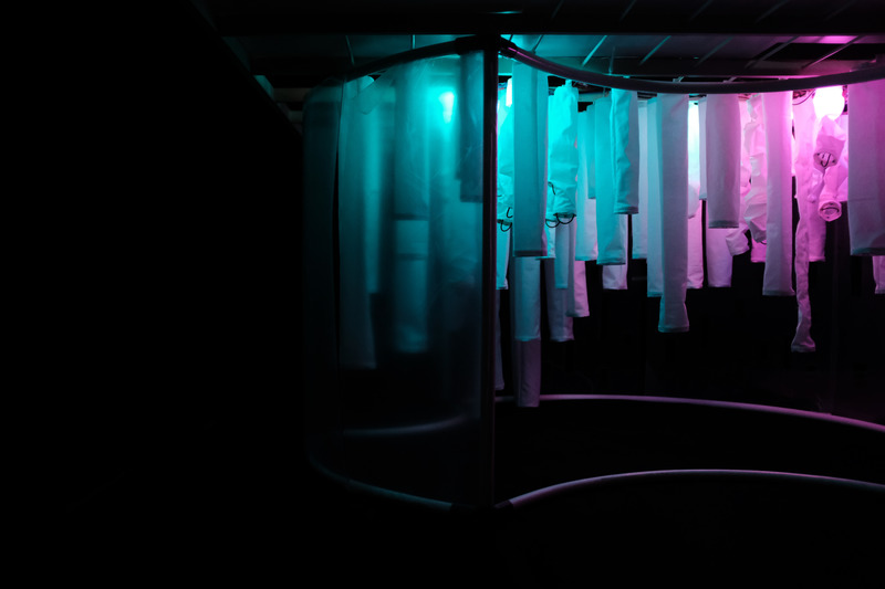 Dossier de presse | 5720-01 - Communiqué de presse | Wisteria: Emotive Intelligent Architecture as an Embodiment of Human Emotion and Cognition - Morphogenesis Lab - Évènement + Exposition - Installation color changing based on detected emotions in real-time.<br> - Crédit photo : Mona Ghandi, Nicole Liu, Mohamed Ismail