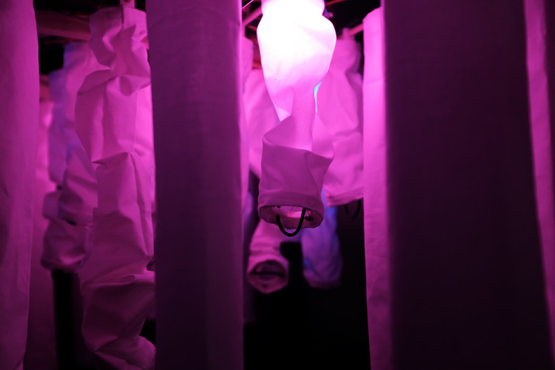 Dossier de presse | 5720-01 - Communiqué de presse | Wisteria: Emotive Intelligent Architecture as an Embodiment of Human Emotion and Cognition - Morphogenesis Lab - Évènement + Exposition -  LED lights embedded within the shrouds illuminate in concert with the movement of the shrouds in colors determined by the emotions detected through bio-signals and a system of smartwatches and affective computing algorithms developed by the team. - Crédit photo : Mona Ghandi, Nicole Liu, Mohamed Ismail