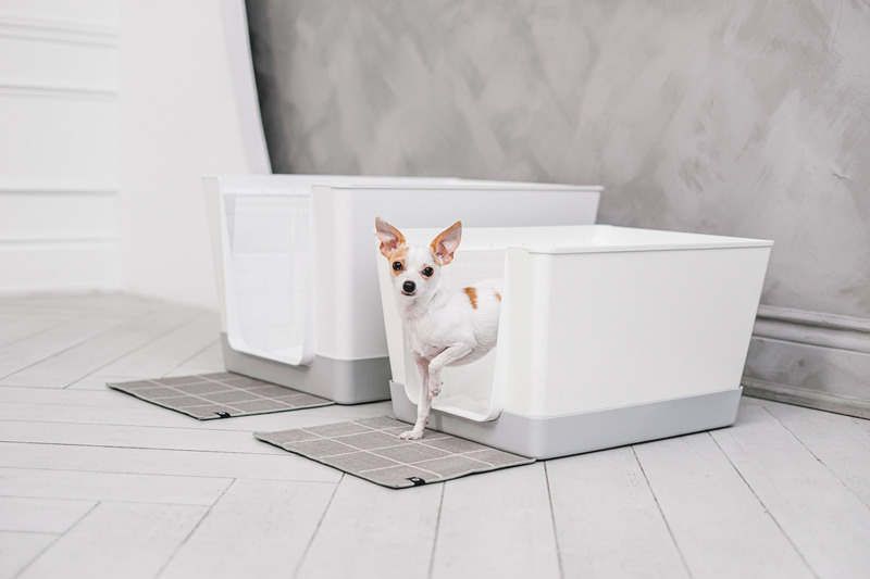 Dossier de presse | 3904-02 - Communiqué de presse | Doggy Bathroom en version miniature sur Kickstarter - Doggy Bathroom - Produit - Doggy Bathroom + Doggy Bathroom Mini - Crédit photo : Momo Yang