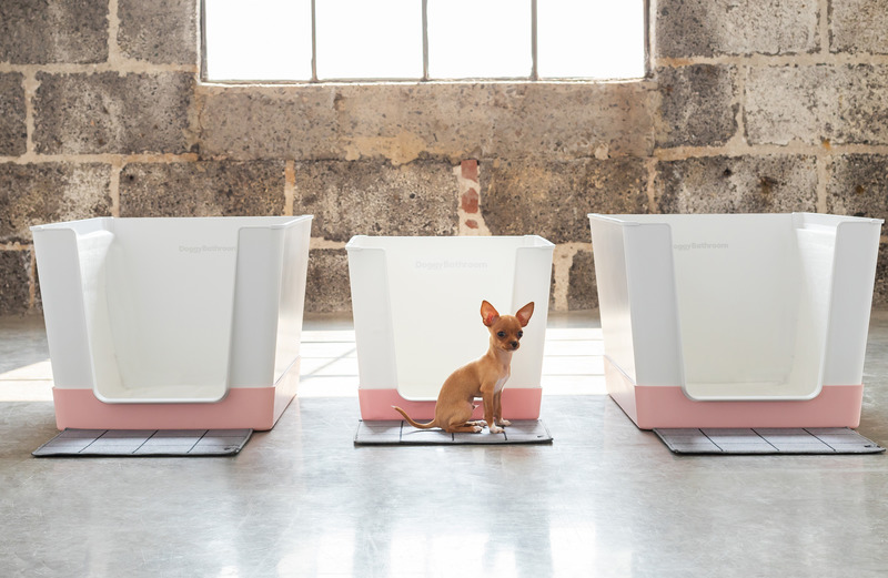 Dossier de presse | 3904-02 - Communiqué de presse | Doggy Bathroom en version miniature sur Kickstarter - Doggy Bathroom - Produit - Doggy Bathroom Mini - Crédit photo : Mélanie Bussière