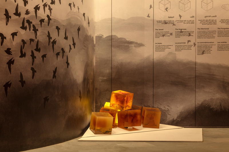 Press kit | 1057-10 - Press release | Thought-provoking KANVA exhibit at Expo 2020 Dubai conveys a sense of urgency in tackling climate change - KANVA - Event + Exhibition - The Forgotten - Photo credit: Gerry O’Leary