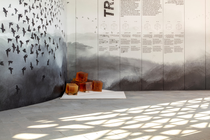 Press kit | 1057-10 - Press release | Thought-provoking KANVA exhibit at Expo 2020 Dubai conveys a sense of urgency in tackling climate change - KANVA - Event + Exhibition - The Forgotten - Photo credit: Gerry O’Leary