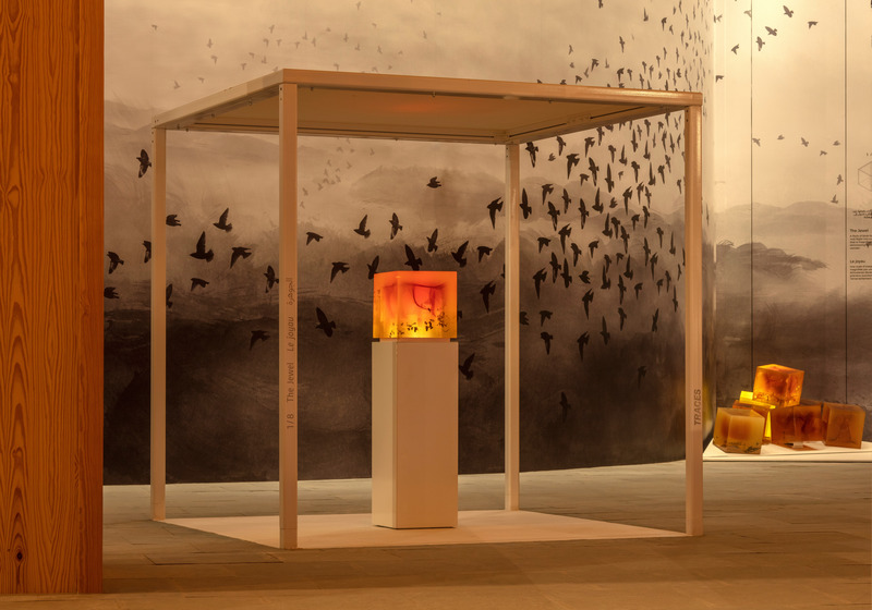 Press kit | 1057-10 - Press release | Thought-provoking KANVA exhibit at Expo 2020 Dubai conveys a sense of urgency in tackling climate change - KANVA - Event + Exhibition - The Jewel - Photo credit: Gerry O’Leary