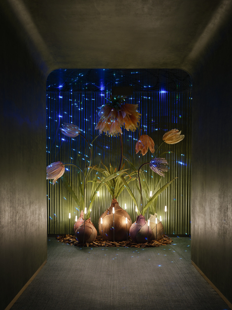 Press kit | 3531-05 - Press release | Green Massage in Madang Road, Shanghai - Vermilion Zhou Design Group - Commercial Interior Design - The aisle in massage area  - Photo credit: Yunpu Cai