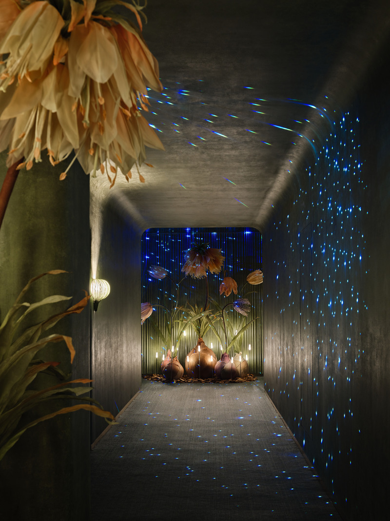 Press kit | 3531-05 - Press release | Green Massage in Madang Road, Shanghai - Vermilion Zhou Design Group - Commercial Interior Design - The aisle in massage area  - Photo credit: Yunpu Cai