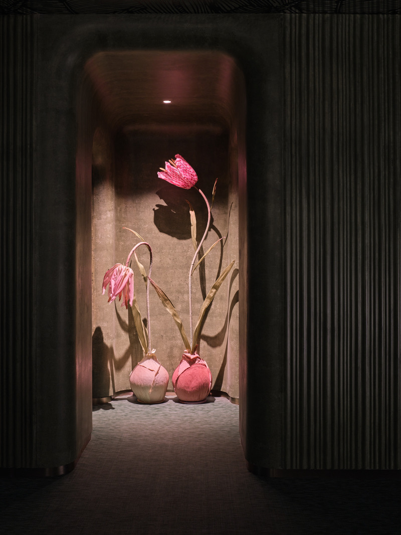 Press kit | 3531-05 - Press release | Green Massage in Madang Road, Shanghai - Vermilion Zhou Design Group - Commercial Interior Design -  Entrance to toilet   - Photo credit: Yunpu Cai
