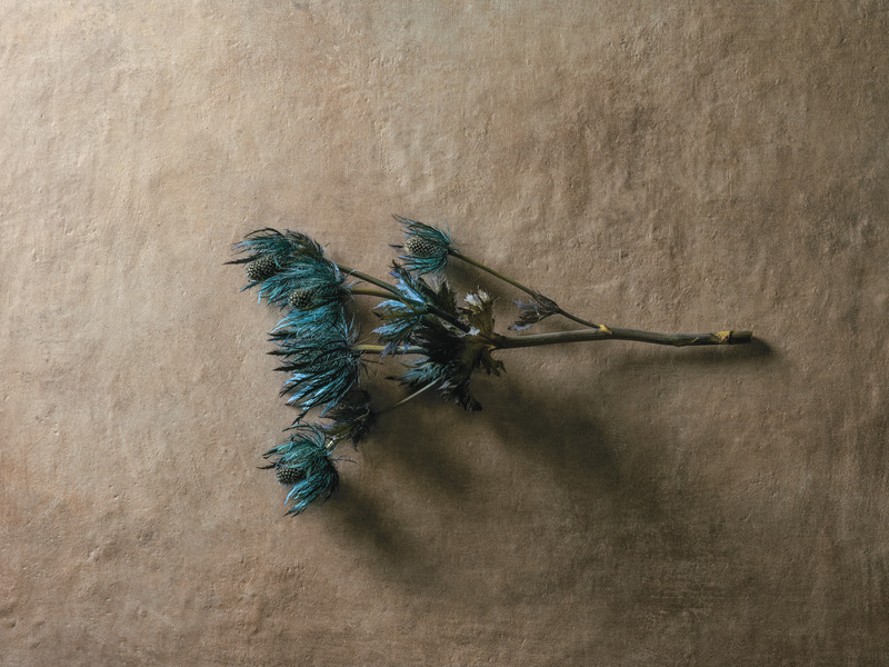 Press kit | 1177-13 - Press release | Affrescati Collection - Ceramiche Refin - Product - Photo credit:  <p class="">Ceramiche Refin</p> 