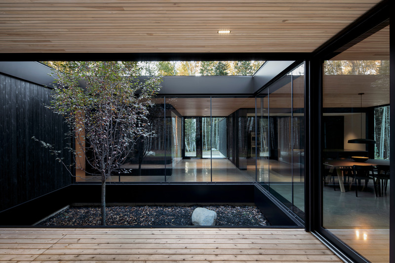 Press kit | 1317-18 - Press release | The Apple Tree house: A Modernist Glass Residence Embracing Nature at its Core - ACDF Architecture - Residential Architecture - Photo credit: Adrien Williams