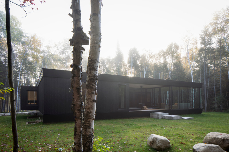 Press kit | 1317-18 - Press release | The Apple Tree house: A Modernist Glass Residence Embracing Nature at its Core - ACDF Architecture - Residential Architecture - Photo credit: Adrien Williams