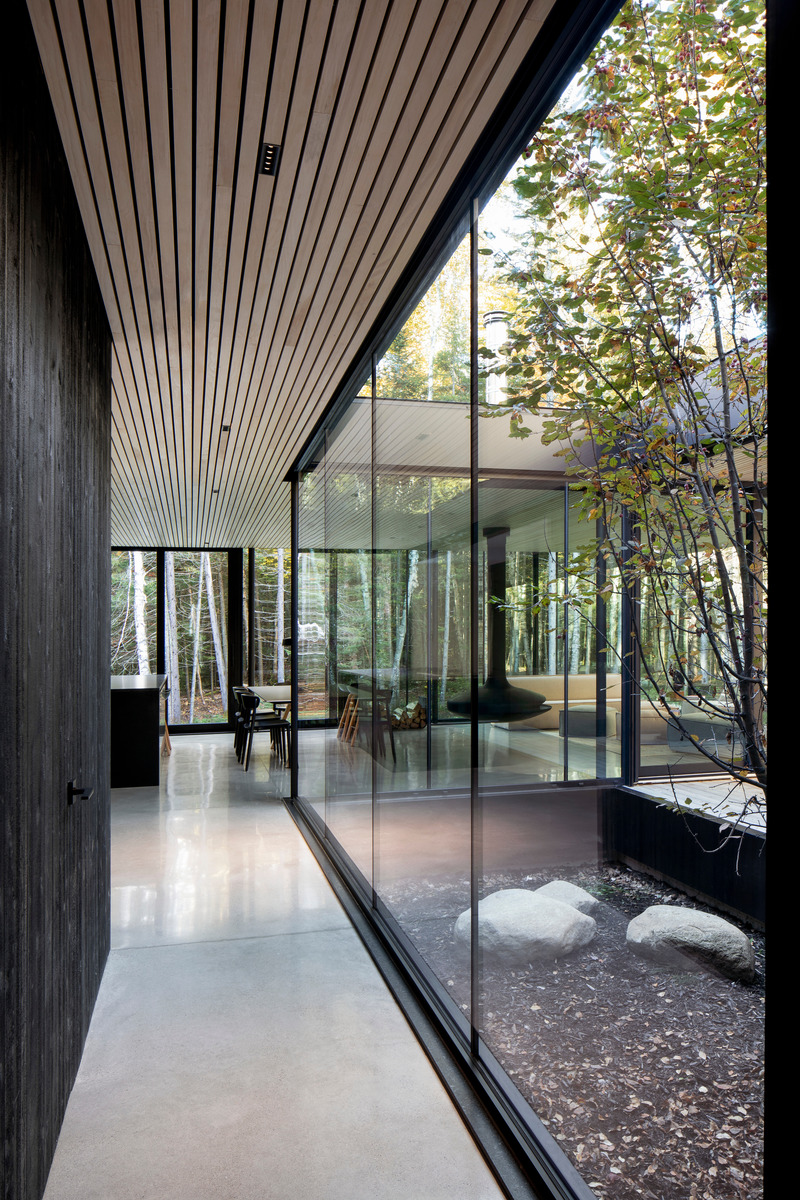 Press kit | 1317-18 - Press release | The Apple Tree house: A Modernist Glass Residence Embracing Nature at its Core - ACDF Architecture - Residential Architecture - Photo credit: Adrien Williams