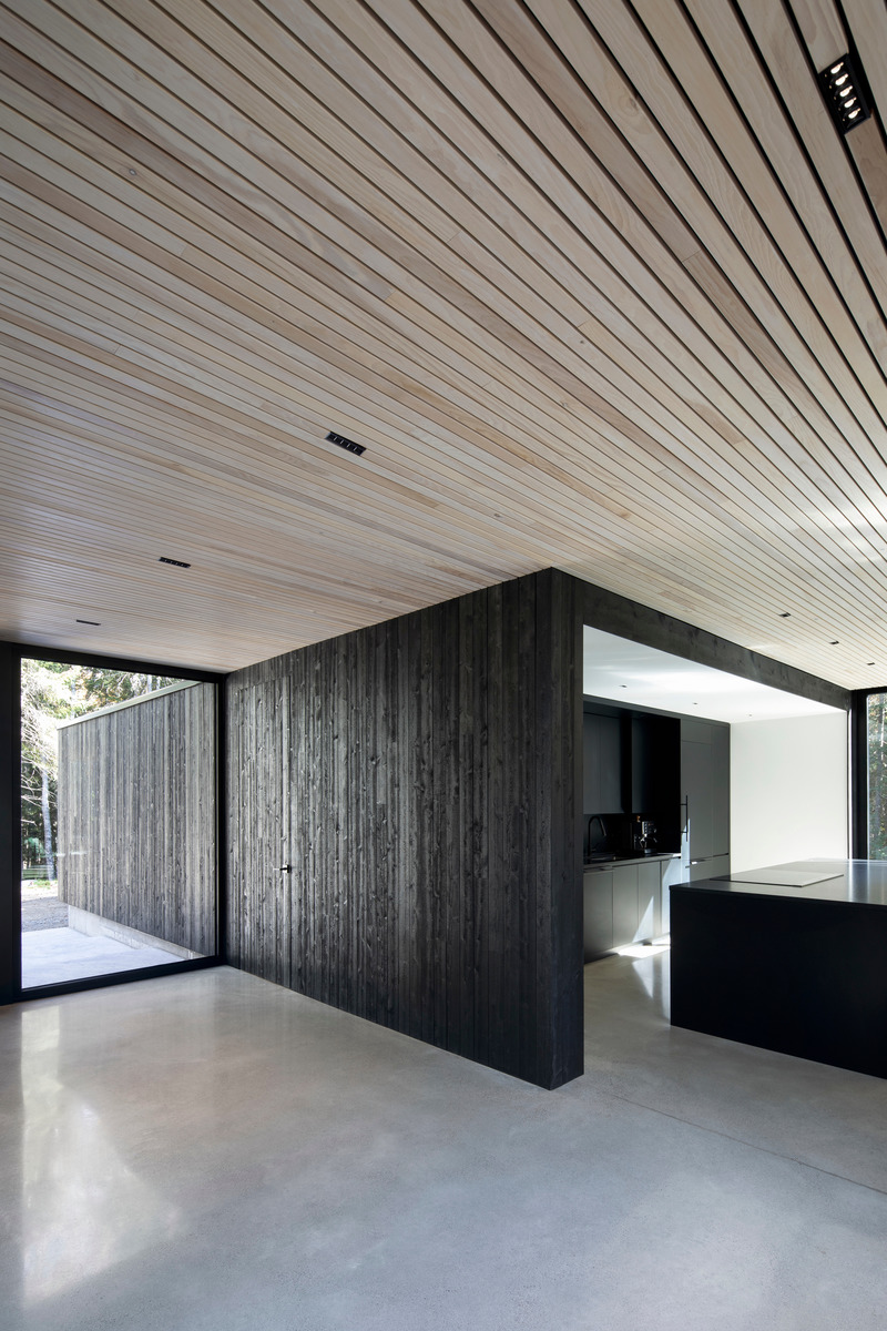 Press kit | 1317-18 - Press release | The Apple Tree house: A Modernist Glass Residence Embracing Nature at its Core - ACDF Architecture - Residential Architecture - Photo credit: Adrien Williams