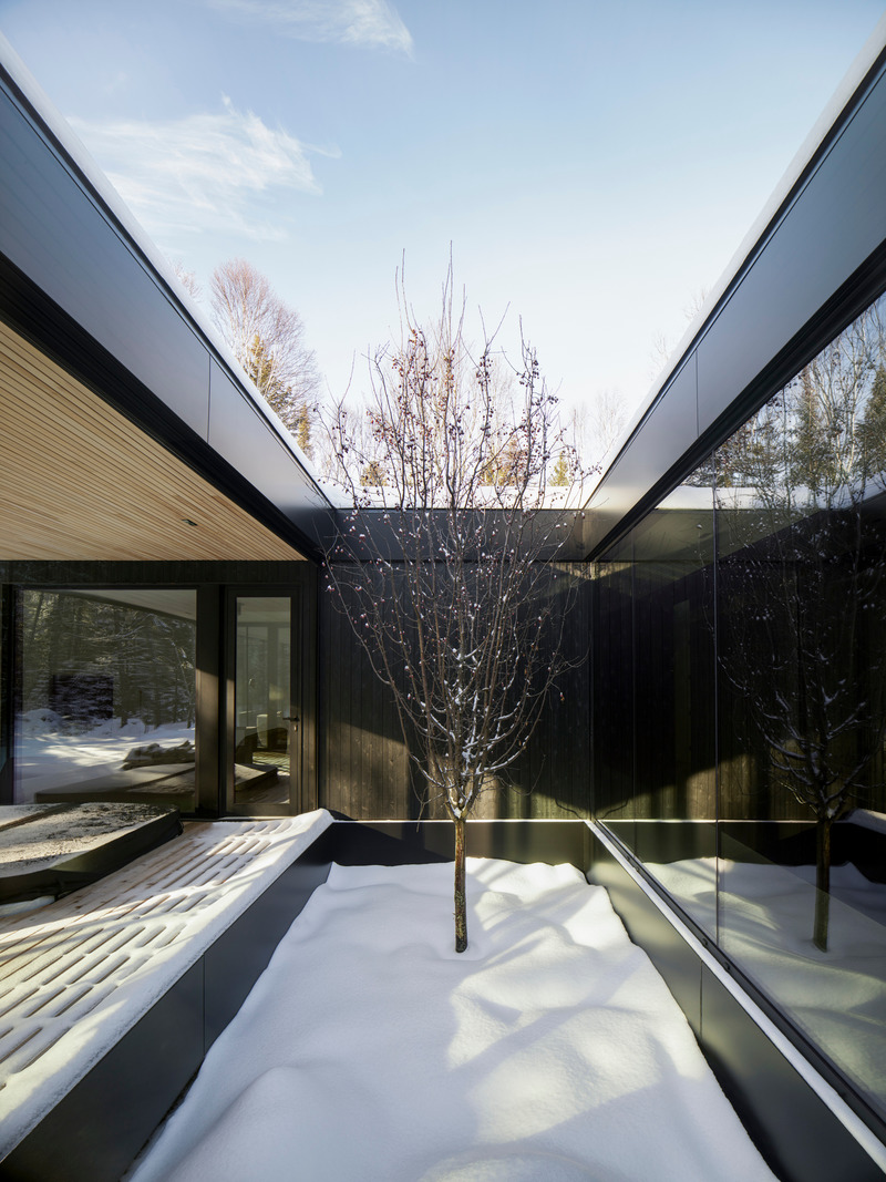 Press kit | 1317-18 - Press release | The Apple Tree house: A Modernist Glass Residence Embracing Nature at its Core - ACDF Architecture - Residential Architecture - Photo credit: Adrien Williams