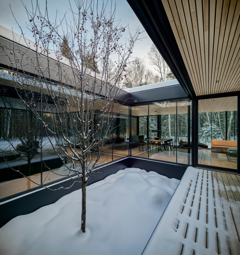 Press kit | 1317-18 - Press release | The Apple Tree house: A Modernist Glass Residence Embracing Nature at its Core - ACDF Architecture - Residential Architecture - Photo credit: Adrien Williams