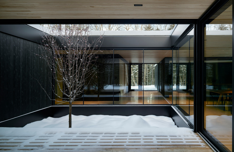 Press kit | 1317-18 - Press release | The Apple Tree house: A Modernist Glass Residence Embracing Nature at its Core - ACDF Architecture - Residential Architecture - Photo credit: Adrien Williams