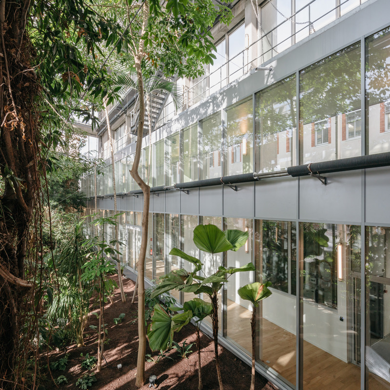 Dossier de presse | 899-02 - Communiqué de presse | La Canopée : Nouvel accueil du siège social Michelin - Encore Heureux Architectes,  Construire et Base - Architecture commerciale - La serre tropicale - Crédit photo : Nicolas Trouillard