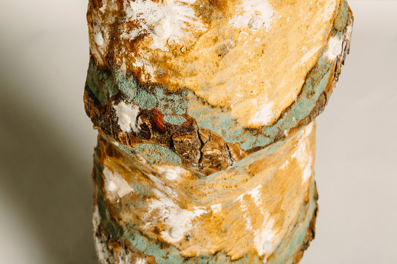 Dossier de presse | 5884-01 - Communiqué de presse | Decay and Regeneration Take Centre Stage at the Rhubarb Festival - Buddies in Bad Times Theatre - Art - Andrea Shin Ling - Calculus of an Infinite Rot (detail shot) - Crédit photo : photo by Gabriel Li
