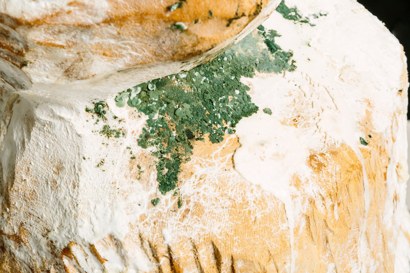 Dossier de presse | 5884-01 - Communiqué de presse | Decay and Regeneration Take Centre Stage at the Rhubarb Festival - Buddies in Bad Times Theatre - Art - Andrea Shin Ling - Calculus of an Infinite Rot (detail shot) - Crédit photo : photo by Gabriel Li