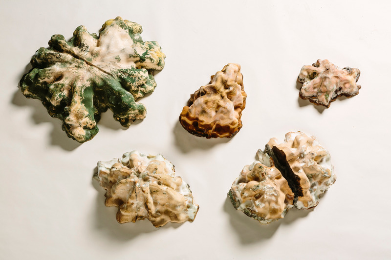 Dossier de presse | 5884-01 - Communiqué de presse | Decay and Regeneration Take Centre Stage at the Rhubarb Festival - Buddies in Bad Times Theatre - Art - Andrea Shin Ling - Calculus of an Infinite Rot (detail shot) - Crédit photo : photo by Gabriel Li