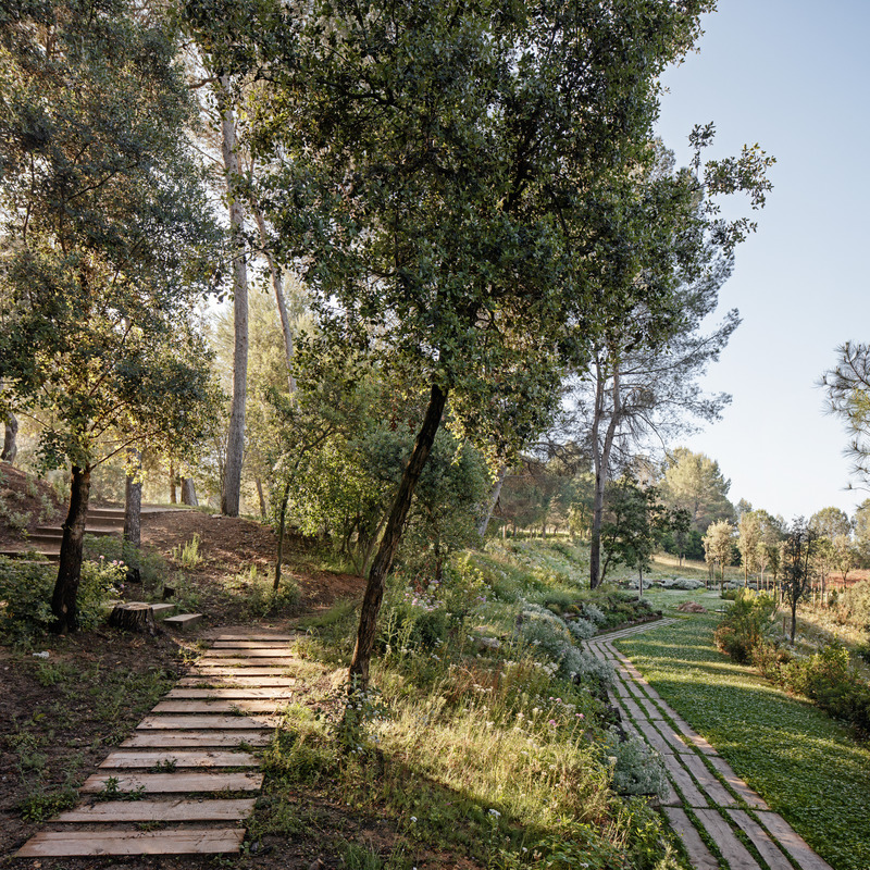 Dossier de presse | 735-03 - Communiqué de presse | Forest Path in the Roques Blanques Cemetery in the Collserola Natural Park, Barcelona - Batlleiroig - Architecture de paysage - Crédit photo : Jordi Surroca