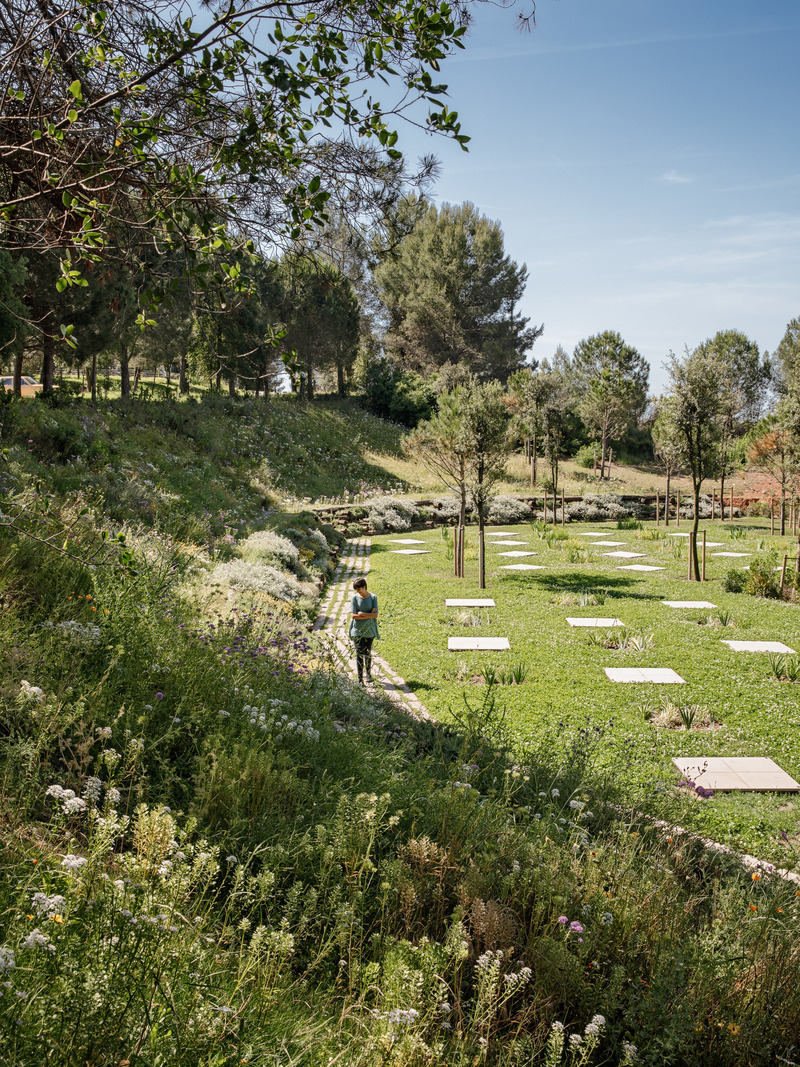 Dossier de presse | 735-03 - Communiqué de presse | Forest Path in the Roques Blanques Cemetery in the Collserola Natural Park, Barcelona - Batlleiroig - Architecture de paysage - Crédit photo : Jordi Surroca