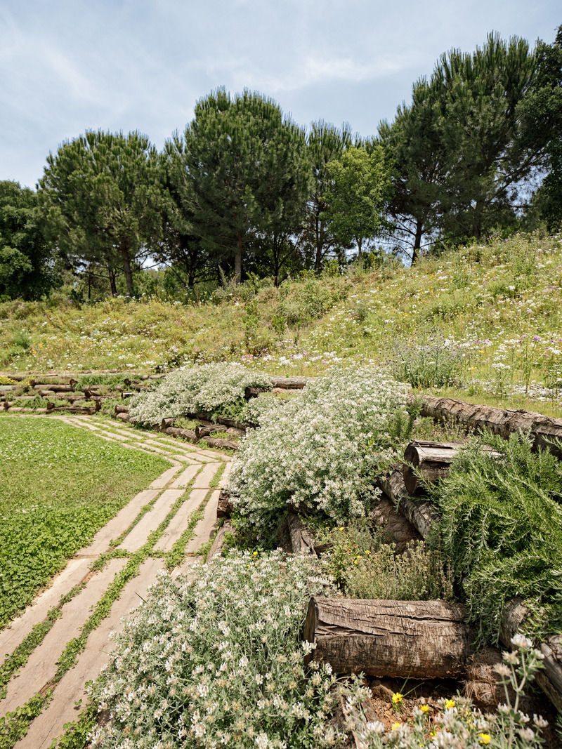 Dossier de presse | 735-03 - Communiqué de presse | Forest Path in the Roques Blanques Cemetery in the Collserola Natural Park, Barcelona - Batlleiroig - Architecture de paysage - Crédit photo : Jordi Surroca