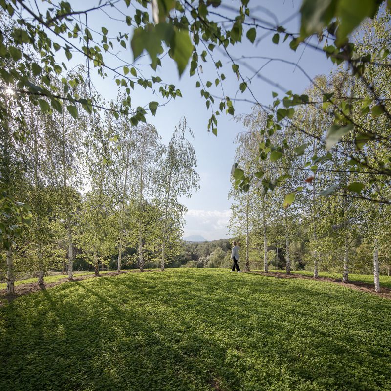 Dossier de presse | 735-03 - Communiqué de presse | Forest Path in the Roques Blanques Cemetery in the Collserola Natural Park, Barcelona - Batlleiroig - Architecture de paysage - Crédit photo : Jordi Surroca
