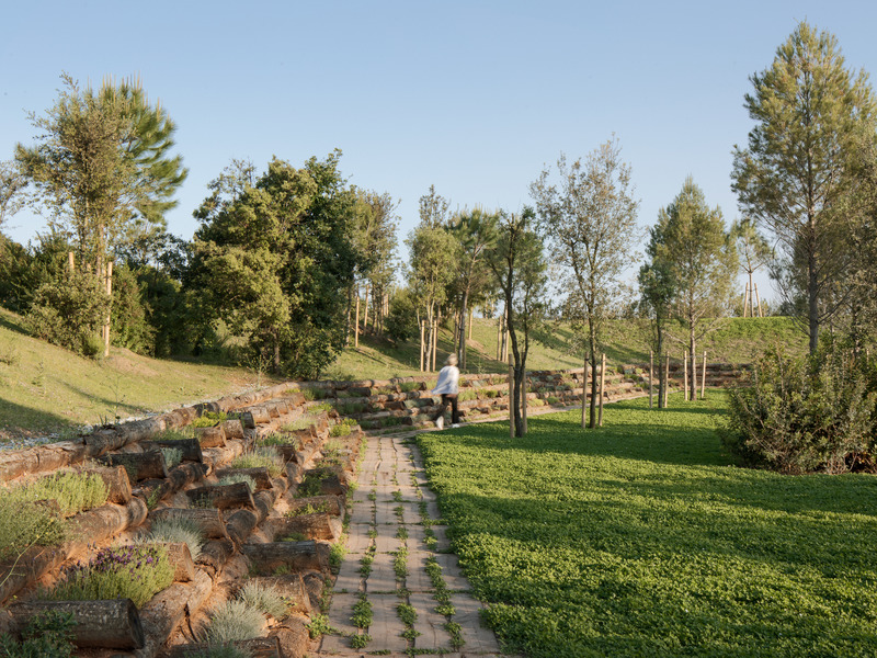 Dossier de presse | 735-03 - Communiqué de presse | Forest Path in the Roques Blanques Cemetery in the Collserola Natural Park, Barcelona - Batlleiroig - Architecture de paysage - Crédit photo : Jordi Surroca