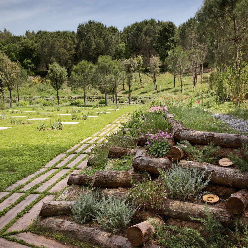 Dossier de presse | 735-03 - Communiqué de presse | Forest Path in the Roques Blanques Cemetery in the Collserola Natural Park, Barcelona - Batlleiroig - Architecture de paysage - Crédit photo : Jordi Surroca