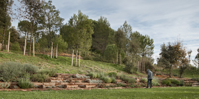 Dossier de presse | 735-03 - Communiqué de presse | Forest Path in the Roques Blanques Cemetery in the Collserola Natural Park, Barcelona - Batlleiroig - Architecture de paysage - Crédit photo : Jordi Surroca