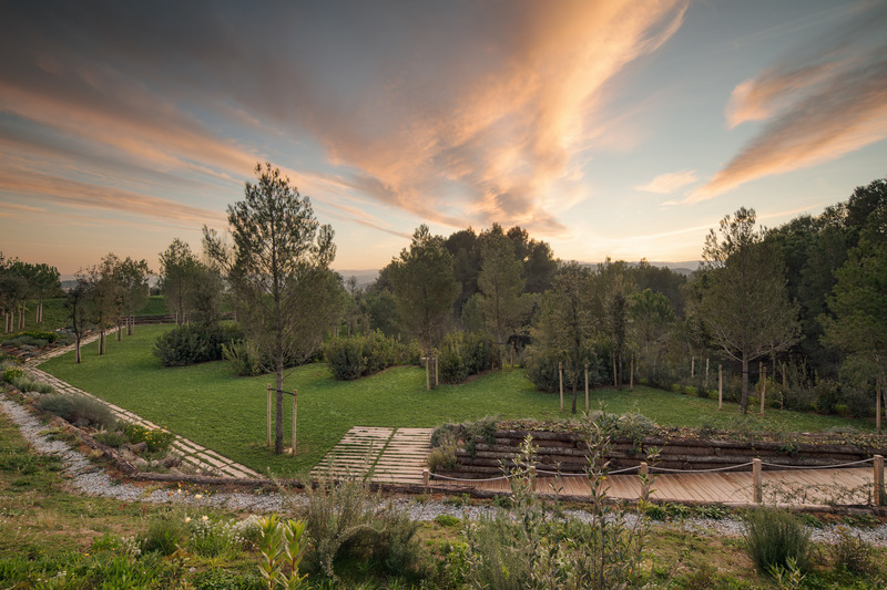 Dossier de presse | 735-03 - Communiqué de presse | Forest Path in the Roques Blanques Cemetery in the Collserola Natural Park, Barcelona - Batlleiroig - Architecture de paysage - Crédit photo : Jordi Surroca