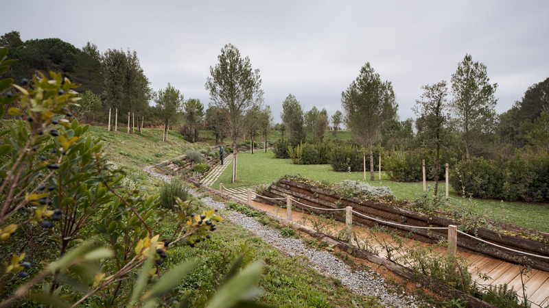 Dossier de presse | 735-03 - Communiqué de presse | Forest Path in the Roques Blanques Cemetery in the Collserola Natural Park, Barcelona - Batlleiroig - Architecture de paysage - Crédit photo : Jordi Surroca