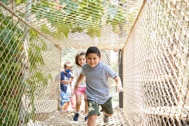 Press kit | 2757-27 - Press release | A New Zoo Experience in Silicon Valley - CAW Architects - Institutional Architecture -  Kids running through The Treehouse's rope tunnel above the exhibits below.  - Photo credit: Artem Nazarov Photography