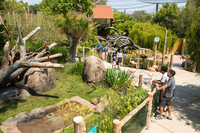 Press kit | 2757-27 - Press release | A New Zoo Experience in Silicon Valley - CAW Architects - Institutional Architecture - The Zoo is layered with natural elements from various viewpoints.  - Photo credit:  Artem Nazarov Photography  