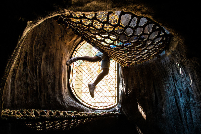 Press kit | 2757-27 - Press release | A New Zoo Experience in Silicon Valley - CAW Architects - Institutional Architecture -  Inside the Treehouse. - Photo credit: Artem Nazarov Photography