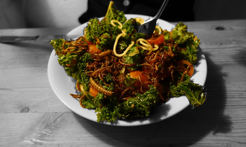 Press kit | 3552-01 - Press release | Inxect Suit - Inxects - Product - A protein rich pasta dish made out of the harmless (plastic eating) mealworms. - Photo credit: Pavels Liepins