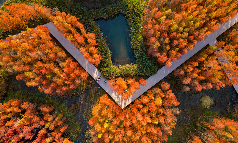 Dossier de presse | 809-37 - Communiqué de presse | Meet the Winners of The  2022 AZ Awards! - AZURE Media - Concours - <p>Winner – Landscape Architecture</p><p>A Floating Forest: Fish Tail Park in Nanchang City, Nanchang, China</p><p><br></p><p style="">Turenscape, Beijing, China <br style=""></p> - Crédit photo : Courtesy of Turenscape