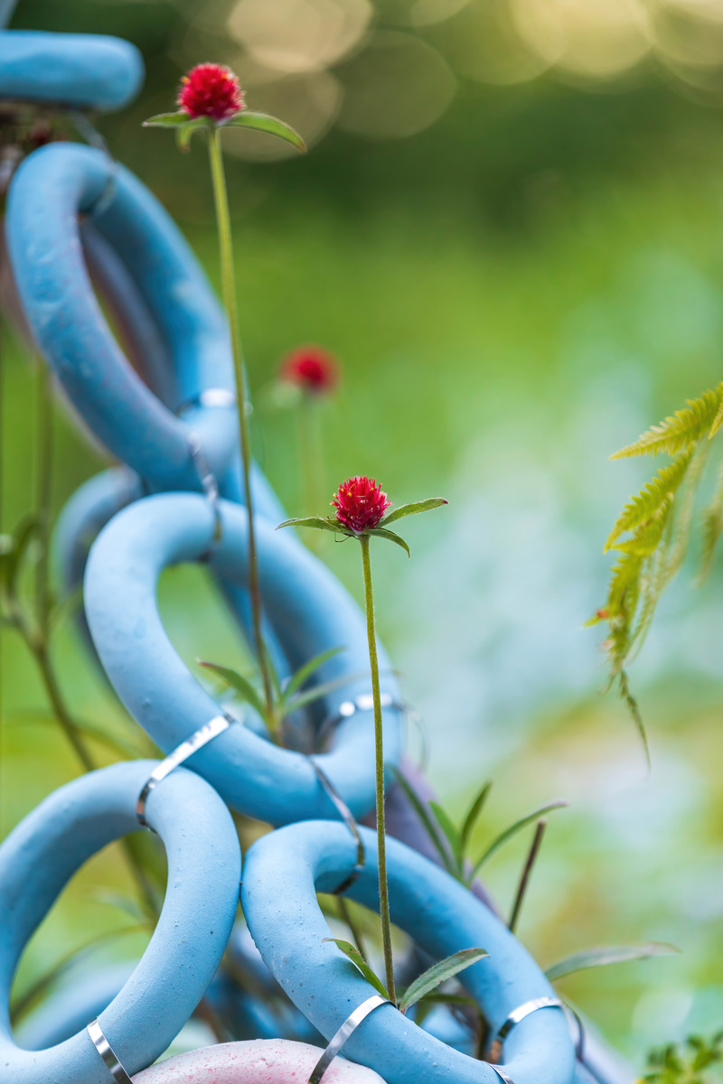 Press kit | 837-41 - Press release | Inauguration of the 23rd International Garden Festival of the Reford Gardens - International Garden Festival | Reford Gardens - Landscape Architecture - <p class="">LICHEN by Marie-Pier Gauthier-Manes, Chloé Isaac, Victor Roussel, Montréal (Québec) Canada / Paris, France</p> - Photo credit: JC Lemay
