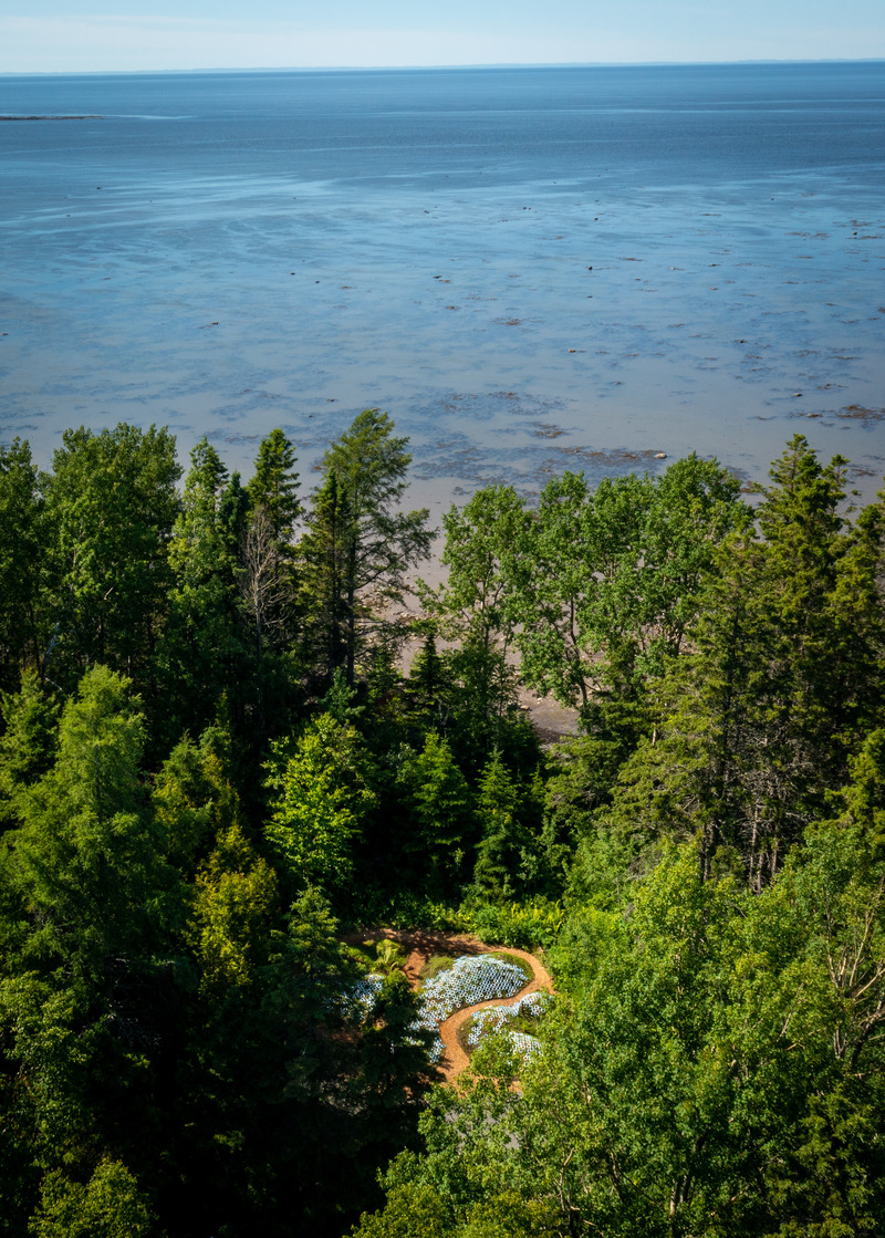 Press kit | 837-41 - Press release | Inauguration of the 23rd International Garden Festival of the Reford Gardens - International Garden Festival | Reford Gardens - Landscape Architecture - <p class="">LICHEN by Marie-Pier Gauthier-Manes, Chloé Isaac, Victor Roussel, Montréal (Québec) Canada / Paris, France</p> - Photo credit: Martin Bond