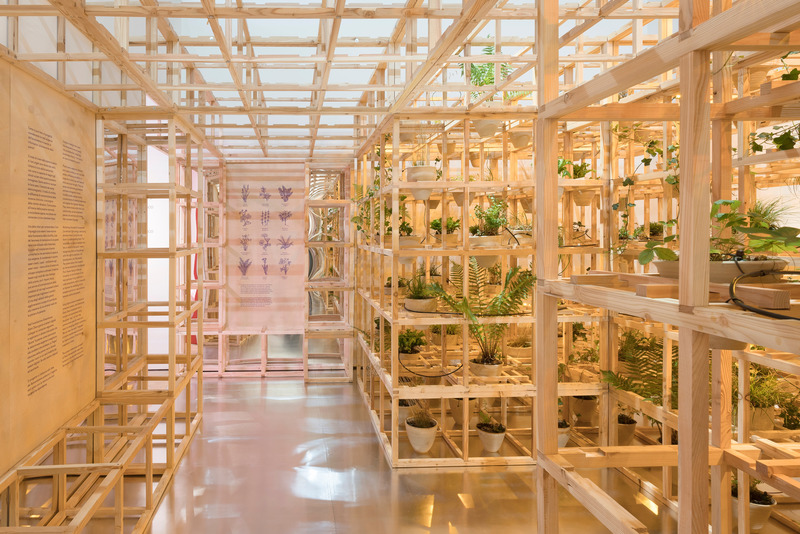 Press kit | 4232-10 - Press release | POLISH PAVILION Inaugurates Immersive Installation 'GREENHOUSE SILENT DISCO' at 23rd Triennale Milano International Exhibition - Organising institutions:  					Adam Mickiewicz Institute, Architecture Museum in Wrocław - Event + Exhibition - Greenhouse Silent Disco - Polish Pavilion - Photo credit:  Paolo Riolzi 