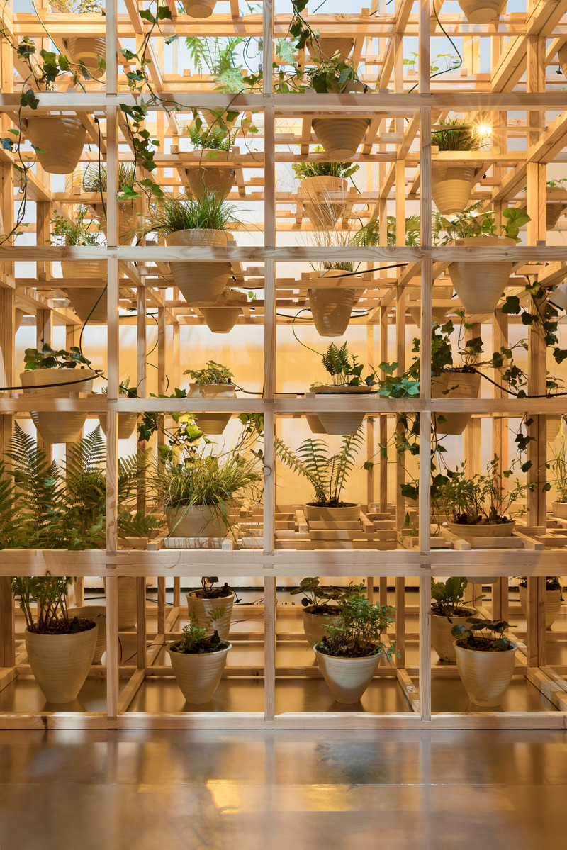 Press kit | 4232-10 - Press release | POLISH PAVILION Inaugurates Immersive Installation 'GREENHOUSE SILENT DISCO' at 23rd Triennale Milano International Exhibition - Organising institutions:  					Adam Mickiewicz Institute, Architecture Museum in Wrocław - Event + Exhibition - Greenhouse Silent Disco - Polish Pavilion - Photo credit:  Paolo Riolzi 