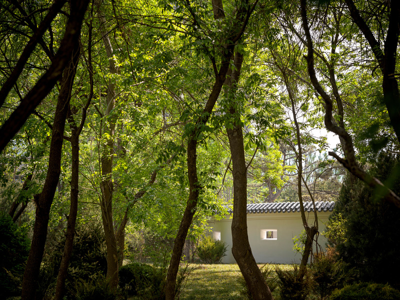 Dossier de presse | 5086-01 - Communiqué de presse | MAHA Residential Gardens Popular Choice Winner at the 2022 Architizer A+ Awards - Ballistic Architecture Machine (BAM) - Architecture de paysage - MAHA Residential Park - Forest view onto the wintergarden - Crédit photo : Jonathan Leijonhufvud