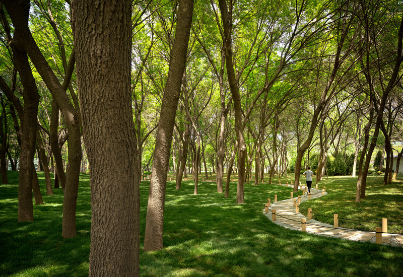 Dossier de presse | 5086-01 - Communiqué de presse | MAHA Residential Gardens Popular Choice Winner at the 2022 Architizer A+ Awards - Ballistic Architecture Machine (BAM) - Architecture de paysage - A stone stepped pathway meanders through the forest.<br style=""> - Crédit photo : Jonathan Leijonhufvud