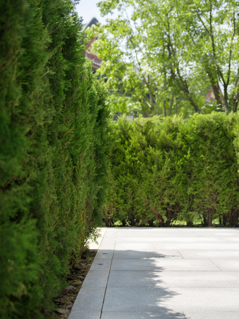 Dossier de presse | 5086-01 - Communiqué de presse | MAHA Residential Gardens Popular Choice Winner at the 2022 Architizer A+ Awards - Ballistic Architecture Machine (BAM) - Architecture de paysage - Hedge walls guide MAHA residents to their exclusive tower lobby entries. - Crédit photo : LIN Banye