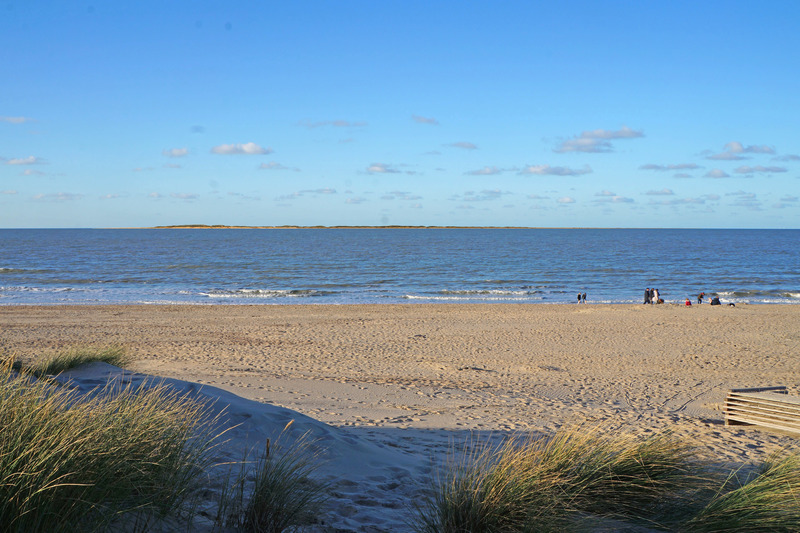 Press kit | 6123-01 - Press release | Design for Public Value (D4PV) Has Been Selected as the 2022 Architizer A+Awards Jury Winner - ORG Permanent Modernity - Landscape Architecture - Beach for Recreation - Photo credit: ORG