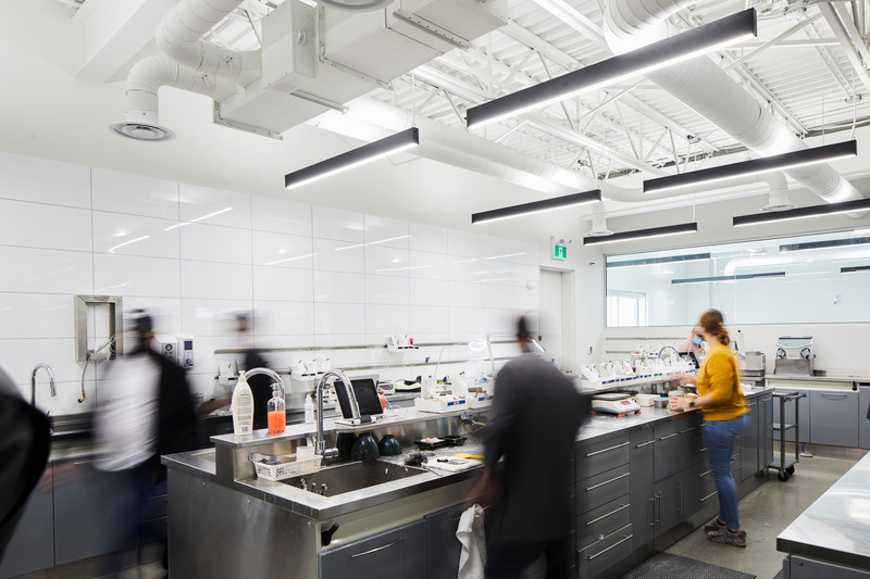 Press kit | 1317-21 - Press release | Lafond Desjardins Dental Laboratory - ACDF Architecture - Commercial Architecture - Photo credit: Adrien Williams