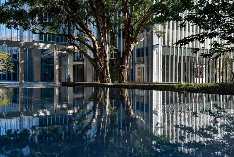 Dossier de presse | 6292-01 - Communiqué de presse | KRIS YAO | ARTECH Received 2022 Architizer A+ Firm Award – Best in Asia - KRIS YAO | ARTECH - Concours - The old banyan trees stay lushly on site next to the China Development Headquarters, composing a sustainable urban image together. - Crédit photo : Chris Stowers