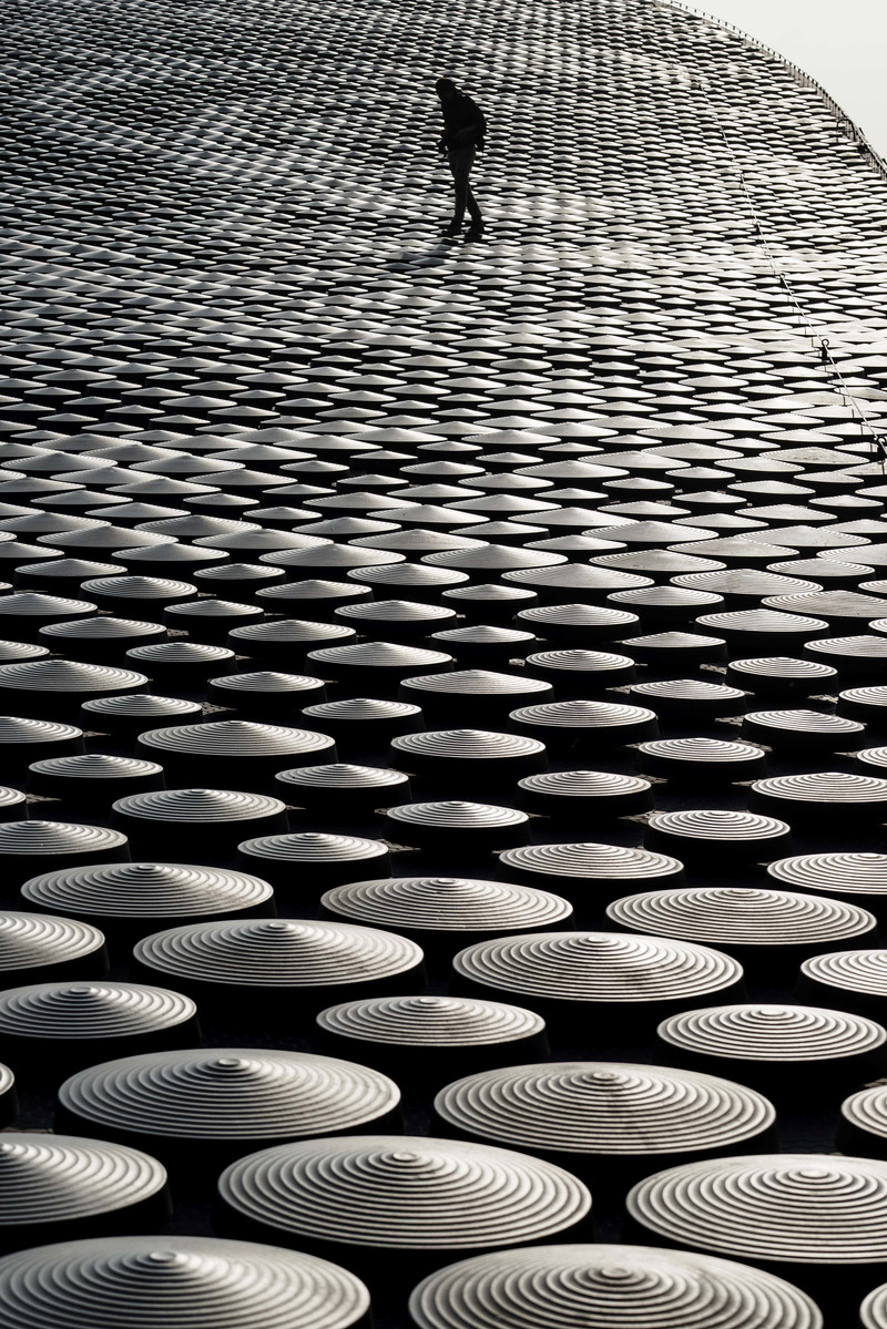 Dossier de presse | 6292-01 - Communiqué de presse | KRIS YAO | ARTECH Received 2022 Architizer A+ Firm Award – Best in Asia - KRIS YAO | ARTECH - Concours - Over 36,000 pieces of cast aluminum disks cover the exterior of the Palace Museum Southern Branch, evoking the image of a dragon riding through the clouds when viewed from afar. - Crédit photo : Shawn Liu Studio