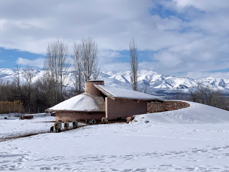 Press kit | 661-70 - Press release | WAF 2022 Announces Finalists for the Special Prizes, Celebrating Exceptional Architectural Merit - World Architecture Festival (WAF) - Competition - <p>Small Project</p><p>Palanga Goat Shelter by Erginoglu &amp; Calislar Architects</p> - Photo credit: Hasan Çalışlar, PAAF, Metin Çavuş, Dilara Demiralp, Aram Tufan